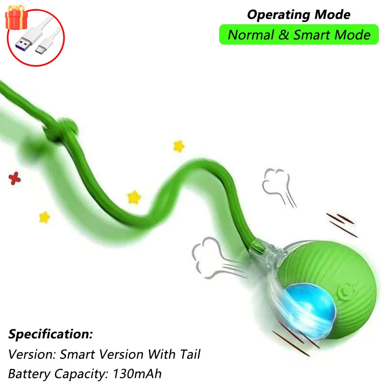 Active Rolling Ball with Tail