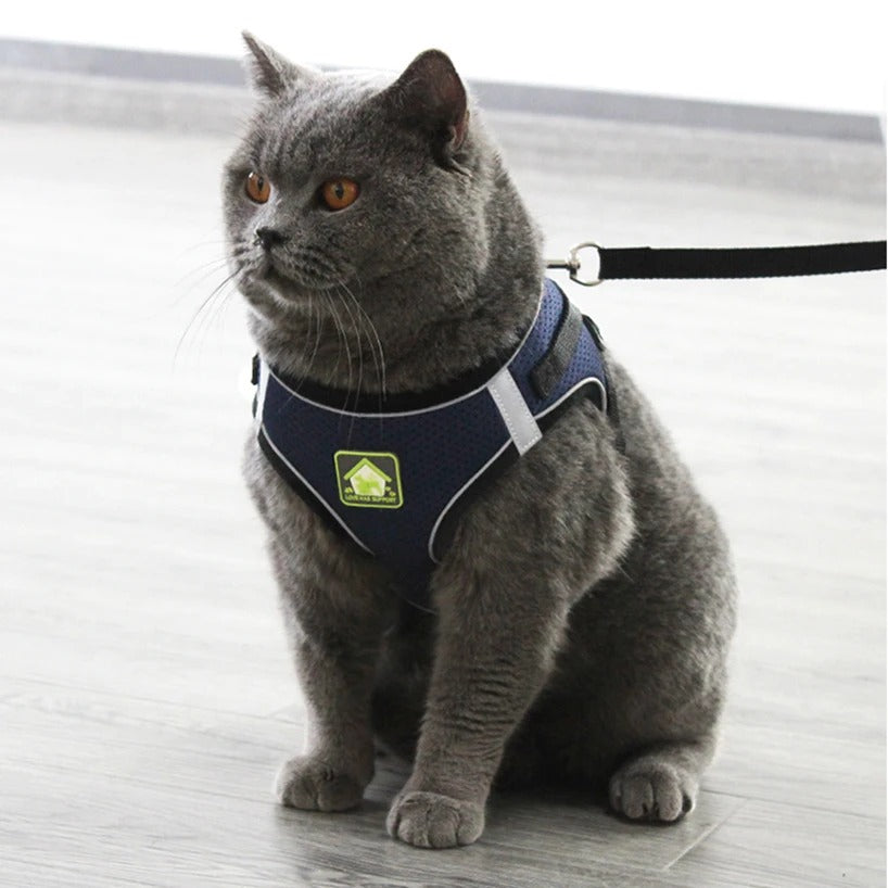 Chest Collar for Cat