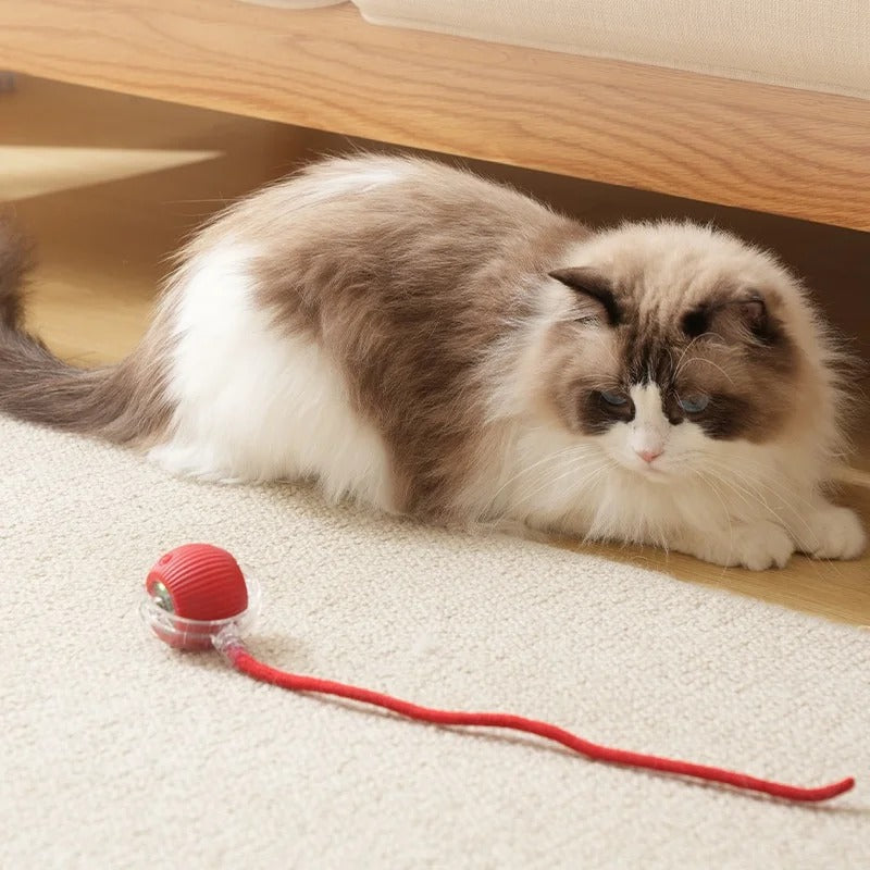 Active Rolling Ball with Tail