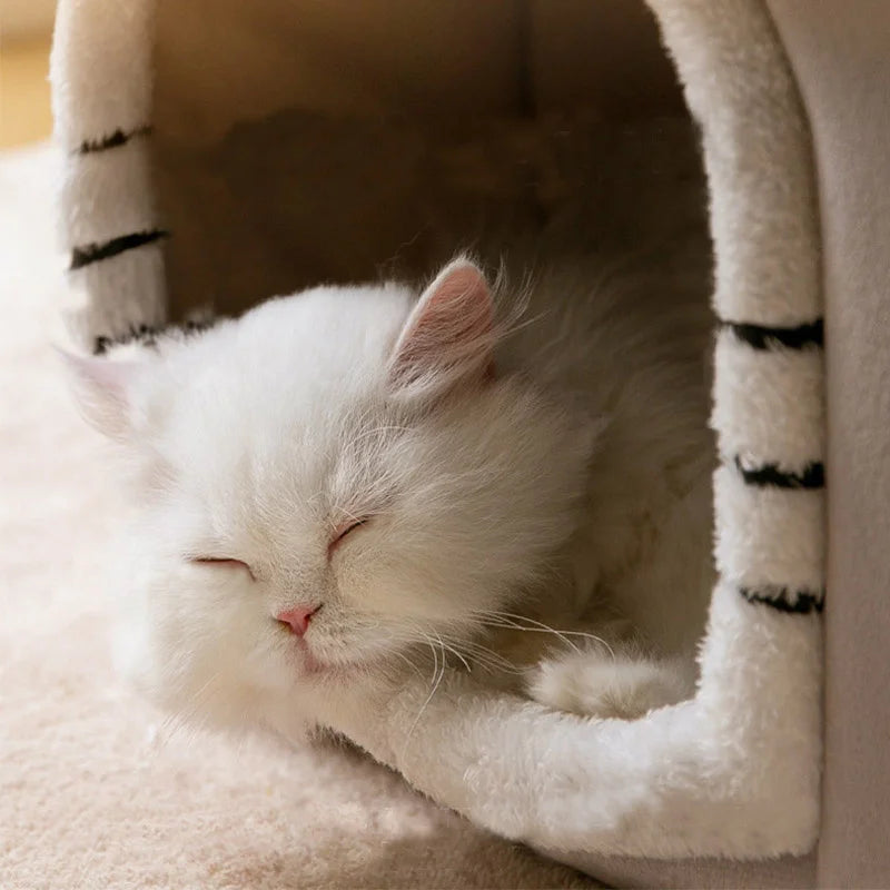 Folding Cat Bed