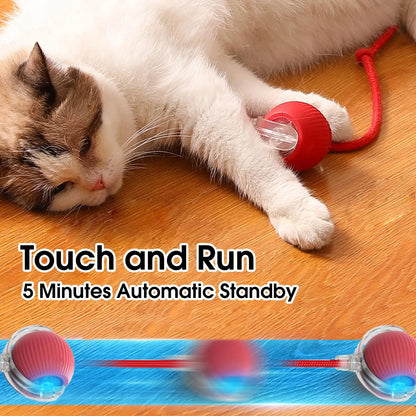 Active Rolling Ball with Tail