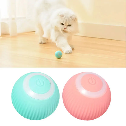 Interactive Pet Ball