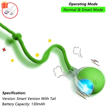 Active Rolling Ball with Tail