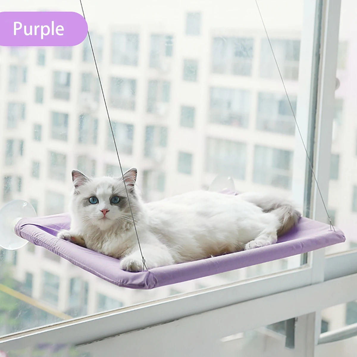 Window Cat Hammock