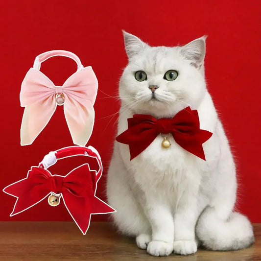 Festive Velvet Bow Tie Collar