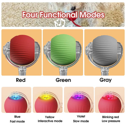 Active Rolling Ball with Tail