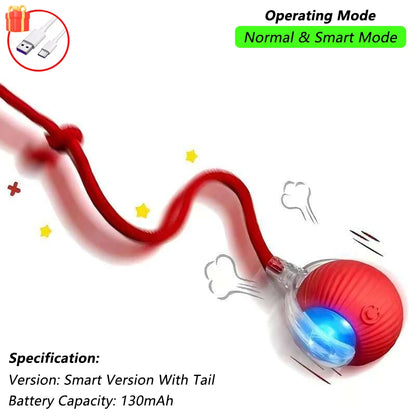 Active Rolling Ball with Tail
