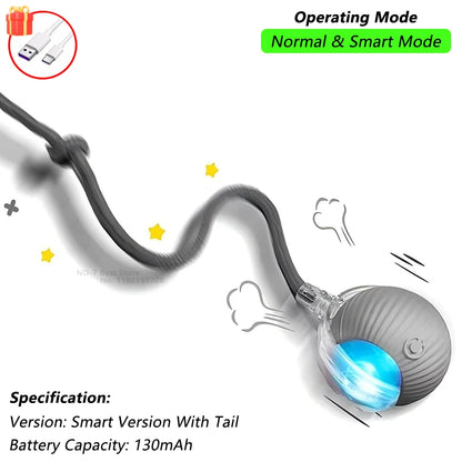 Active Rolling Ball with Tail