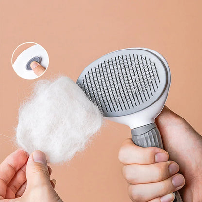 Pet Hair Removal Brush