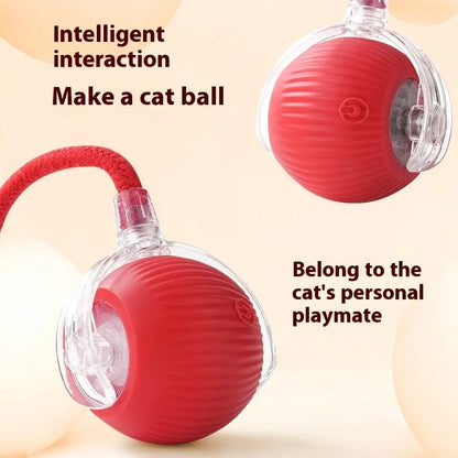 Active Rolling Ball with Tail