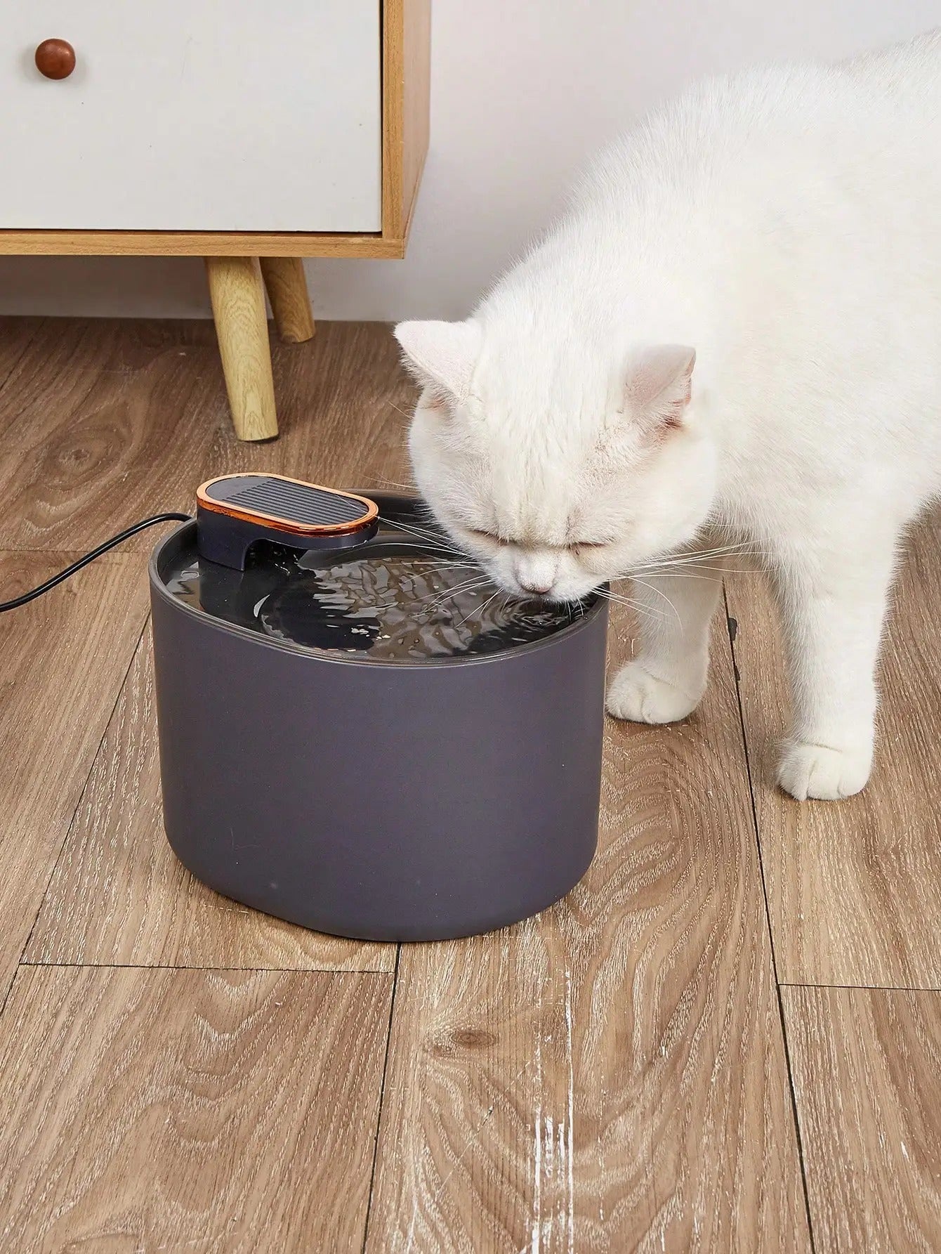 Pet Water dispender
